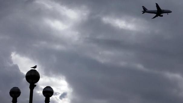 Tragedi Kecelakaan Terjadi di Tengah Upaya Atasi Wabah Lalat Ulat Pemakan Daging