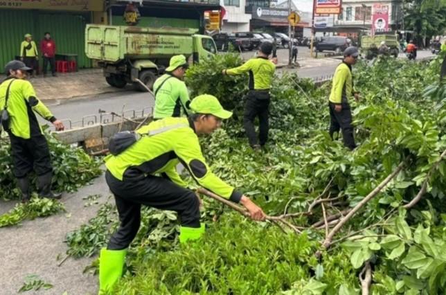 Suku Dinas Pertamanan Jakarta Barat Evakuasi 31 Pohon Tumbang Selama Januari 2026 Akibat Cuaca Ekstrem
