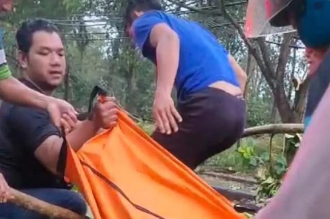 Cuaca Ekstrem di Batang Tewaskan Tiga Orang akibat Pohon Tumbang