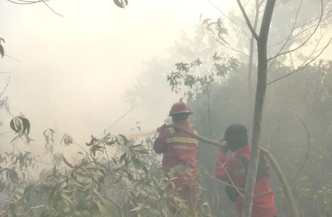 Empat Titik Karhutla Masih Terbakar di Riau, Tim Gabungan Lakukan Pemadaman Intensif