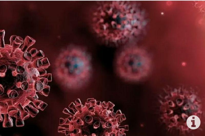 Satgas Sebut Kasus Positif Covid-19 Indonesia Jumat Ini Bertambah jadi 6.699 Kasus