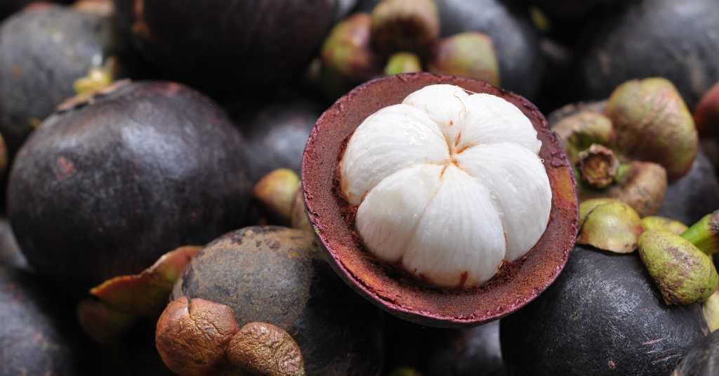 Manfaat Buah Manggis untuk Kesehatan Mulai dari yang Ringan Hingga Kronis