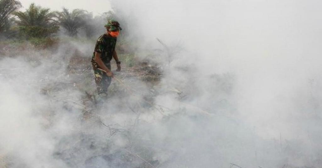 23 Pelaku Pembakar Lahan Diringkus Polda Sumsel