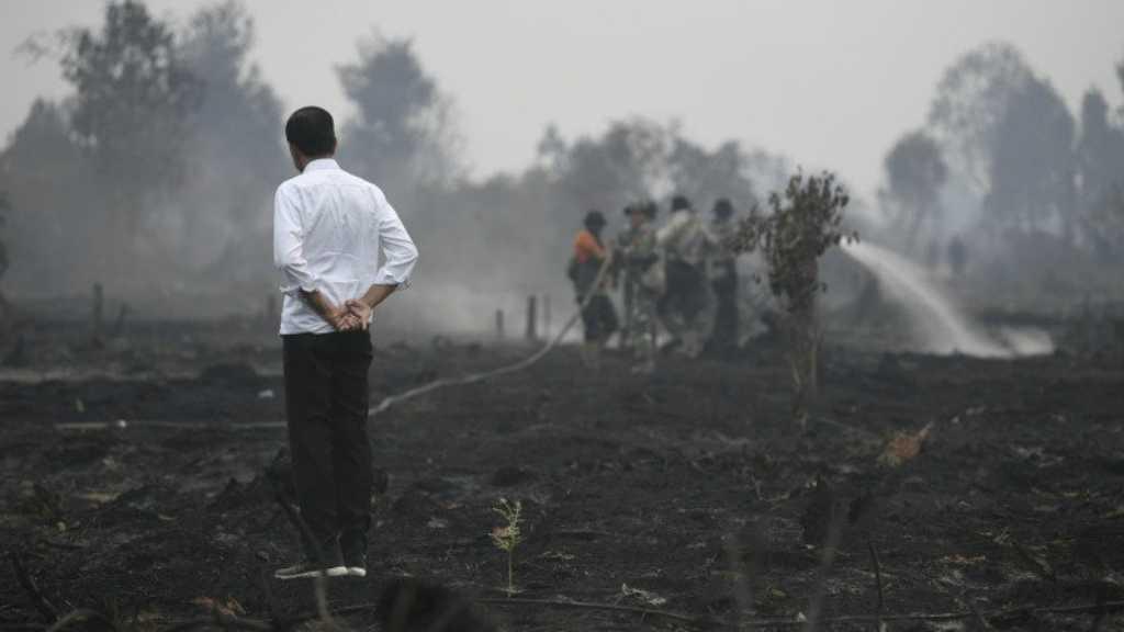Kecemasan Jokowi Soal Karhutla Akhirnya Terucapkan