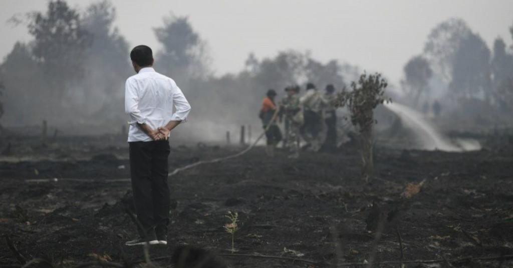 Jokowi: 99 Persen Karhutla karena Manusia, Penegakan Hukum Tanpa Kompromi