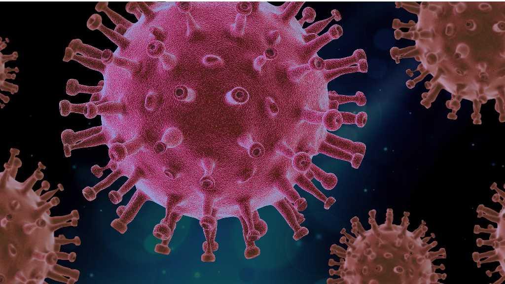 CDC China Ungkap Kemasan Makanan Beku Dapat Tularkan COVID-19