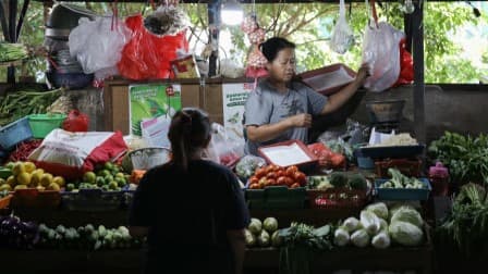 Kendalikan Inflasi, Pemerintah Pantau Terus Harga Pangan