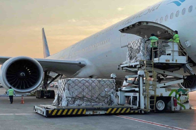 Garuda Indonesia Perluas Pangsa Pasar Kargo Internasional