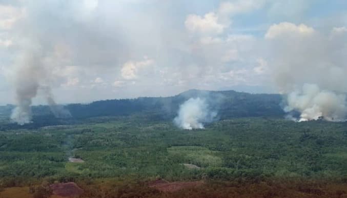BNPB Pastikan Operasi Karhutla di 6 Provinsi Berlaku Aktif Sampai November