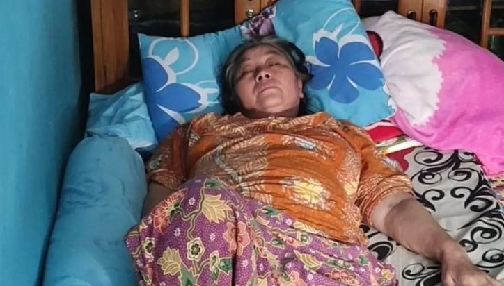 Puluhan Warga Kampung Cibiuk Terjangkit Chikungunya
