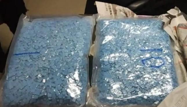 Jaringan Narkoba Lintas Pulau Terbongkar, Pemerintah Soroti Hak Cipta Digital dan Judi Online