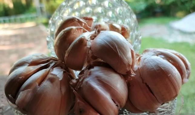 Studi Temukan Obat Kumur Ekstrak Bawang Putih Berpotensi Redam Bau Mulut Setara Klorheksidin