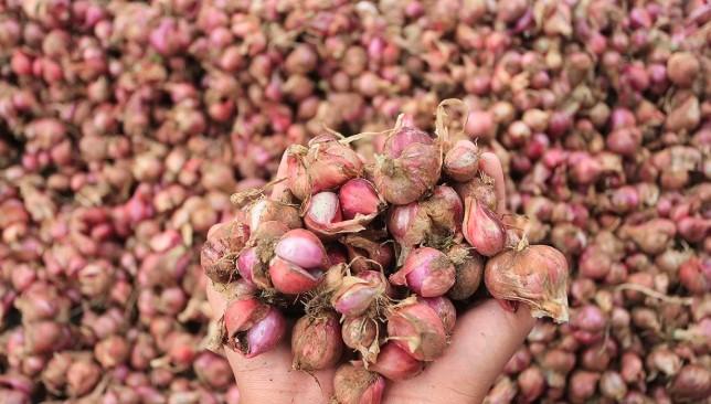 Kenaikan Harga Bawang Merah di Indonesia Meningkat pada November 2025