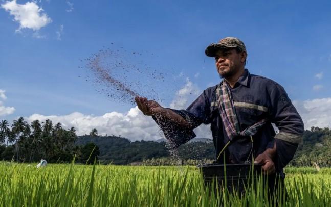 Penurunan HET Pupuk Bersubsidi hingga 20 Persen Diharapkan Perkuat Ketahanan Pangan Nasional