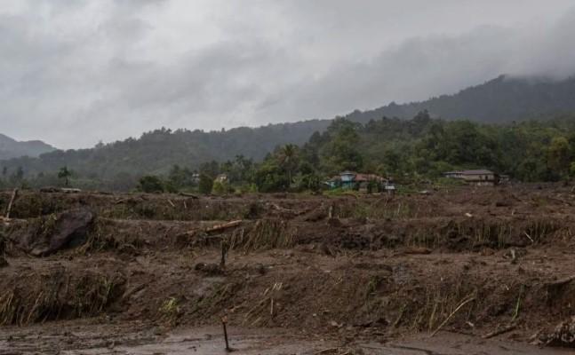 Pemprov Sumbar Catat 1.341 Hektare Sawah Alami Puso akibat Bencana Hidrometeorologi