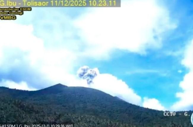 Gunung Ibu Erupsi, Semburkan Abu Vulkanik Setinggi 400 Meter ke Udara