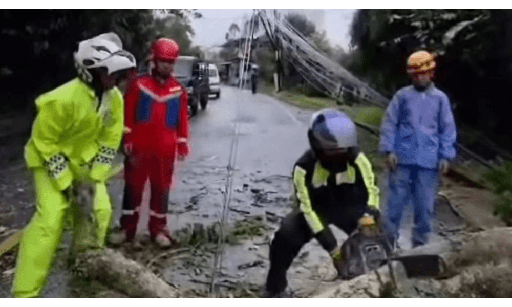 Petugas Gabungan Tangani Cepat Pohon Tumbang di Jalur Puncak-Cipanas