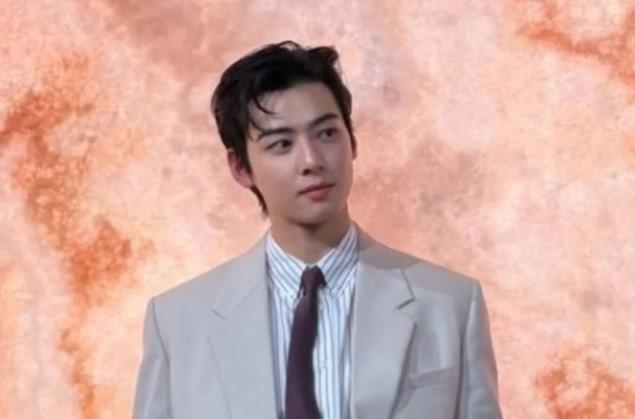 Cha Eun-woo Terseret Dugaan Penghindaran Pajak Rp230 Miliar, Agensi Ajukan Peninjauan