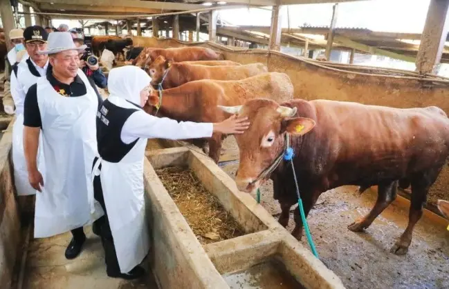 Jawa Timur Perkuat Posisi sebagai Lumbung Ternak Nasional demi Kedaulatan Pangan