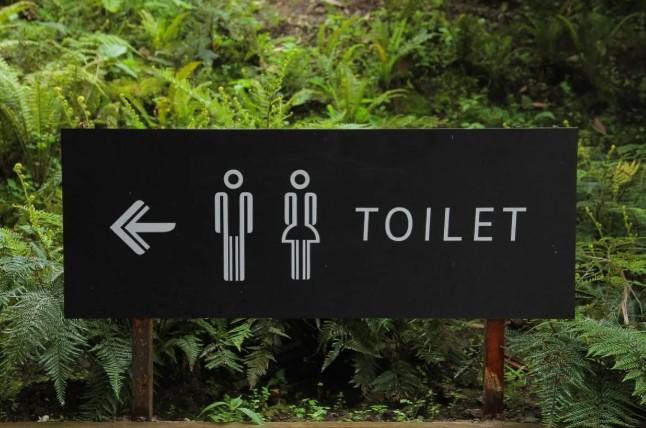 Ahli Ungkap Kebiasaan Sederhana yang Efektif Melancarkan BAB di Pagi Hari