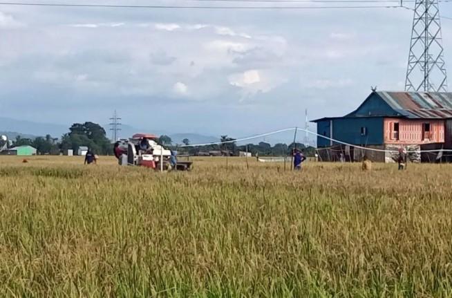 Muhammadiyah Ajak Warga Siaga Hadapi Ancaman El Nino pada Musim Kemarau 2026