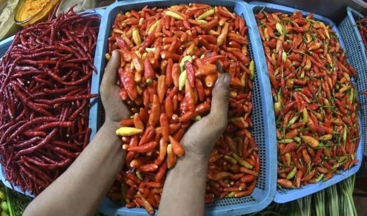 Harga Cabai Rawit Tembus Rp74 Ribu per Kg, Telur Ayam Rp41.850 Menurut PIHPS