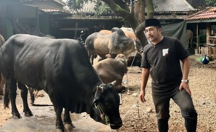 Irfan Hakim Sebut Jumlah Hewan Kurban Tahun Ini Meningkat dibanding 2025
