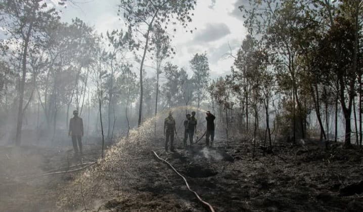 BNPB Minta Kewaspadaan Multibencana Jadi Prioritas Utama Jelang Musim Kemarau