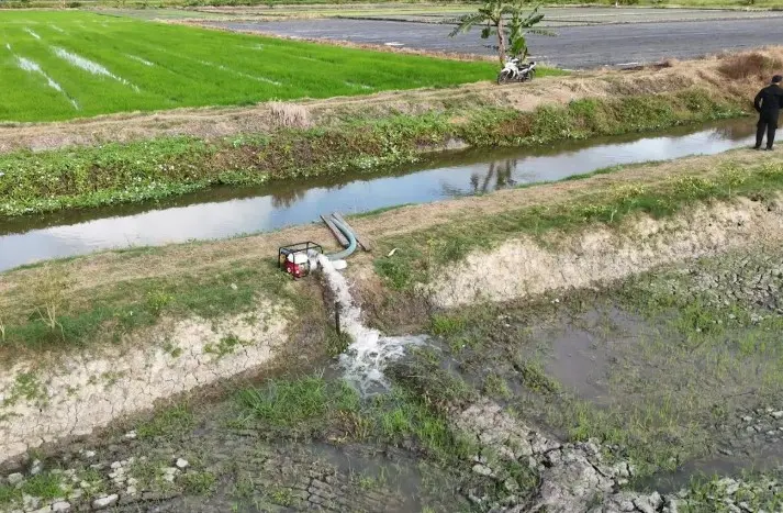 Kementan Perkuat Pengawalan Sentra Pangan Merauke untuk Antisipasi Dampak El Nino