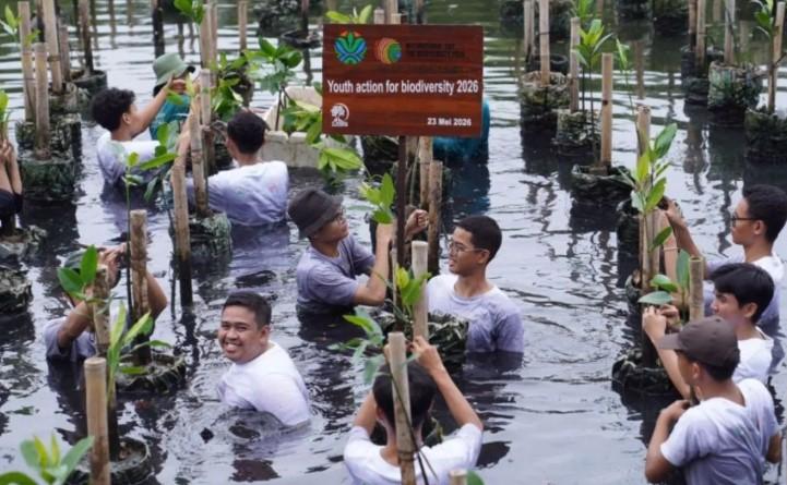 GIZ dan Kementerian Lingkungan Hidup Perkuat Literasi Mangrove bagi Generasi Muda