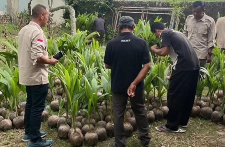 Pemerintah Siapkan 200 Juta Benih Unggul untuk Percepat Hilirisasi Perkebunan Nasional