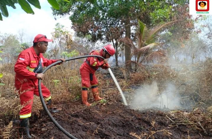 Puan Maharani Minta Pemerintah Siapkan Strategi Komprehensif Hadapi Ancaman Karhutla di Riau