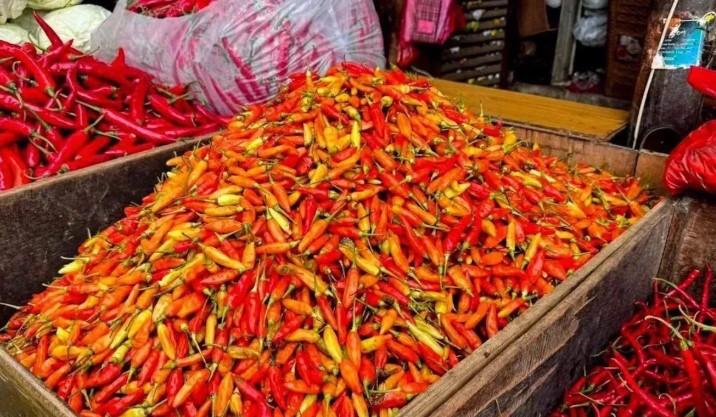 Harga Cabai Rawit Turun ke Rp68.000 per Kg, Telur Ayam Rp28.500 Menurut Data PIHPS