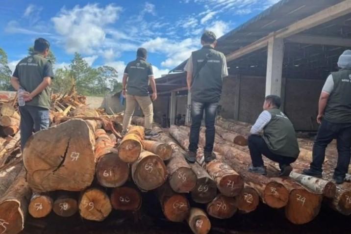 Kemenhut Amankan 219 Batang Kayu Ilegal di Humbang Hasundutan Sumatera Utara