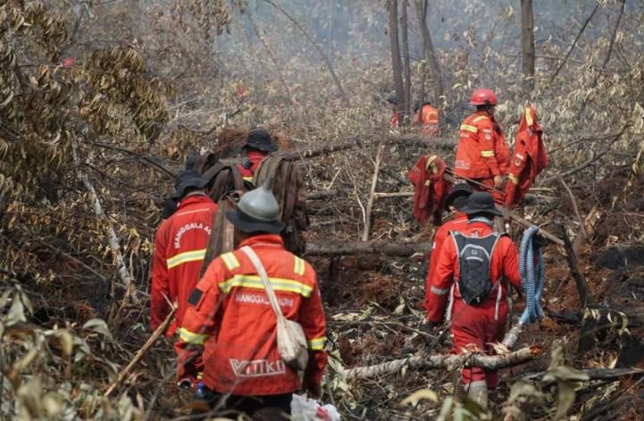 Manggala Agni Masih Berjibaku Padamkan Karhutla 108 Hektare di Pulau Rupat Bengkalis