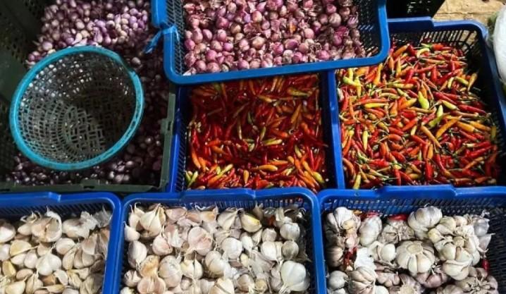 Harga Cabai Rawit Masih Tinggi, PIHPS Catat Tembus Rp73.700 per Kilogram