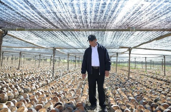 Pemerintah Siapkan 280 Juta Bibit Kakao dan Kelapa untuk Perkuat Perkebunan Nasional