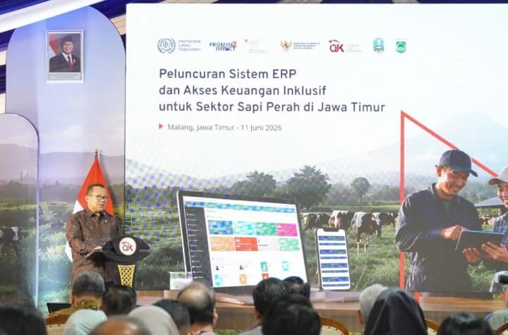 OJK dan ILO Luncurkan Sistem ERP untuk Tingkatkan Akses Kredit Peternak Sapi Perah