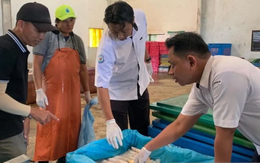 KKP Pastikan Seluruh Sertifikasi Mutu Hasil Perikanan Gratis dan Bisa Diakses Secara Daring