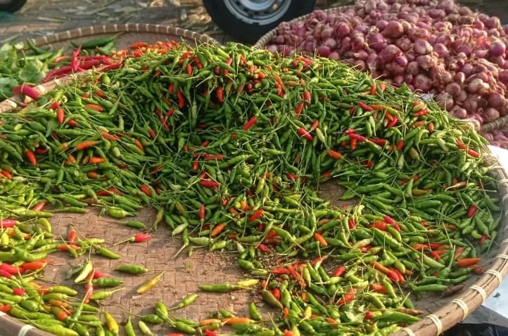 Harga Cabai di Lebak Turun Akibat Pasokan Melimpah, Permintaan Tetap Stabil