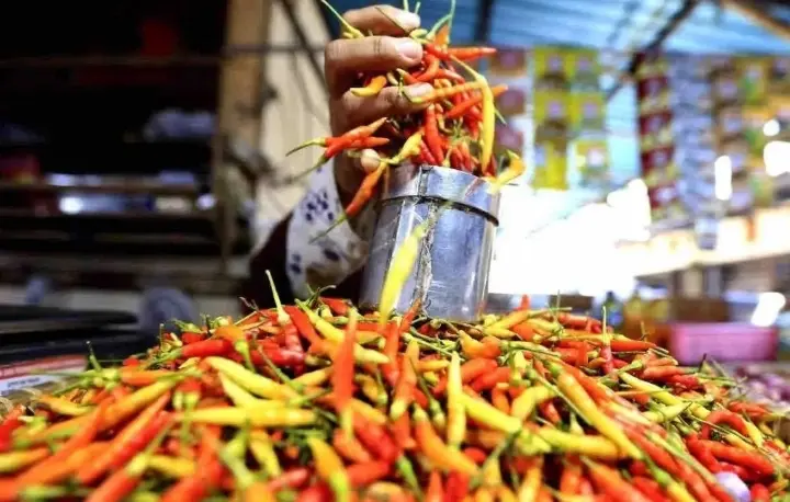 Harga Cabai Rawit Tembus Rp63.900 per Kilogram, Telur Ayam Ras Bertahan di Rp29.250