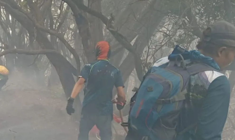 Kebakaran Gunung Gede Meluas Lebih dari Enam Hektare, 150 Petugas Berjibaku Padamkan Api