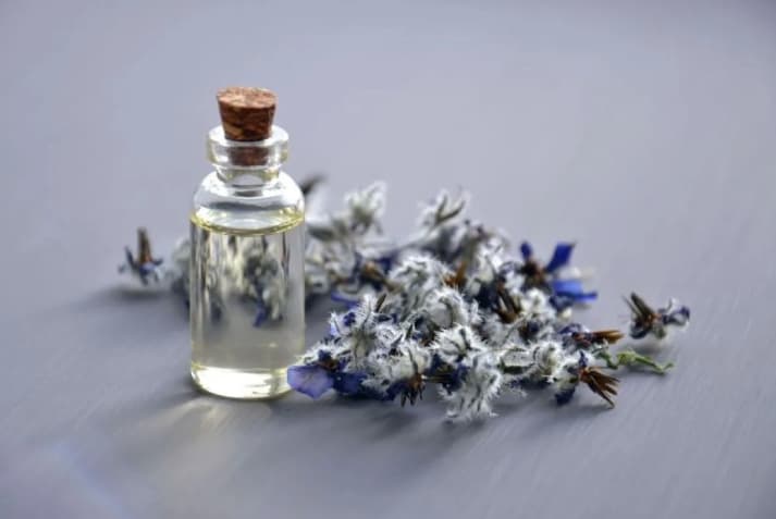 Minyak Lavender Membantu Meningkatkan Kualitas Tidur, Begini Cara Aman Menggunakannya