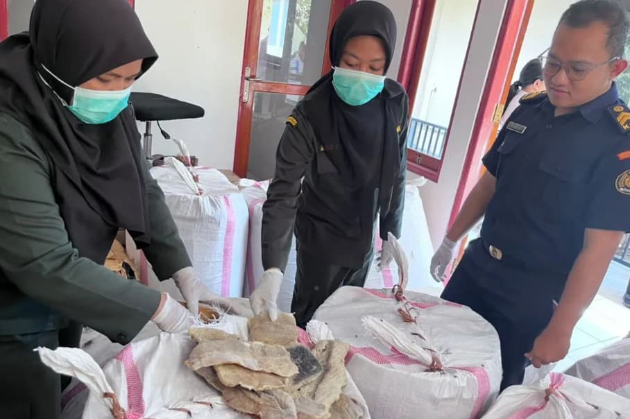 Karantina NTT Menahan 1,23 Ton Daging Hiu Tujuan Lombok karena Tanpa Sertifikat