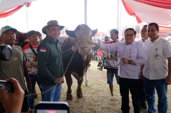 Kementan Memperkuat Genetik Sapi untuk Mendorong Produktivitas dan Kesejahteraan Peternak