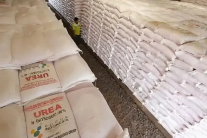 Pemerintah Minta Petani Segera Isi e-RDKK Pupuk Bersubsidi Sebelum 25 Oktober 2026, Harga Pupuk Turun 20 Persen