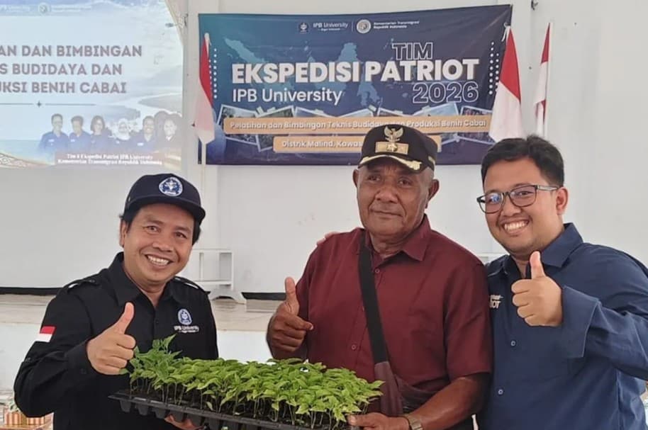 IPB University Salurkan Tiga Varietas Bibit Cabai Unggul ke Petani Merauke untuk Dorong Kemandirian Benih
