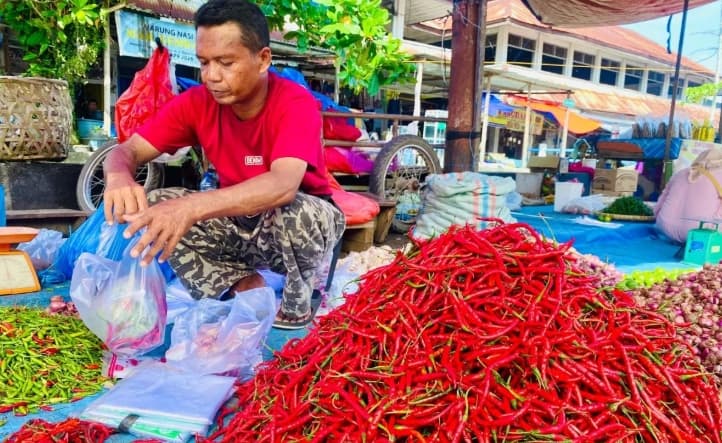 Harga Cabai Merah dan Rawit di Aceh Barat Melonjak hingga Rp85 Ribu per Kg, Pemkab Siapkan Operasi Pasar