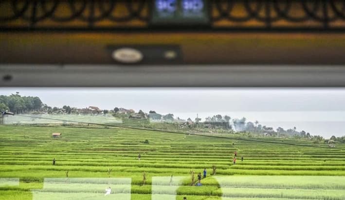 Pariwisata Indonesia Hasilkan Devisa Rp305,47 Triliun pada 2025, Kontribusi terhadap PDB Capai Rp1.138,90 Triliun
