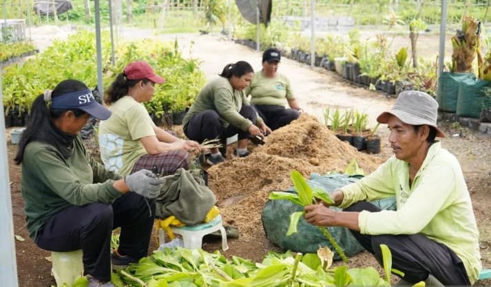 KEK Kura Kura Bali Kembangkan Pembibitan 83 Spesies Tanaman untuk Dukung Pariwisata Hijau
